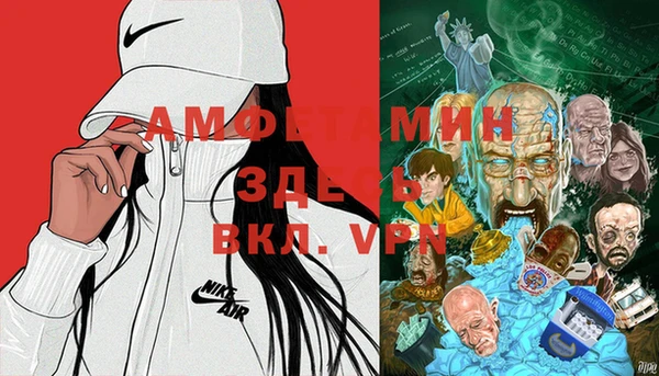 мет Алексин