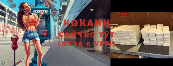 молекула духа Покачи